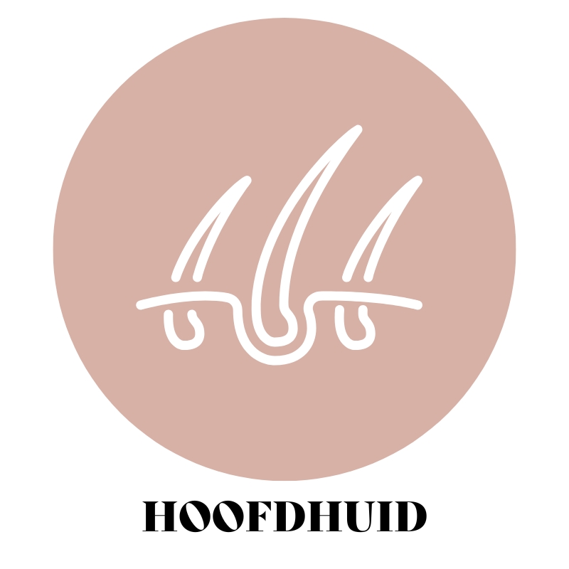 Hoofdhuid Hoofdhuid