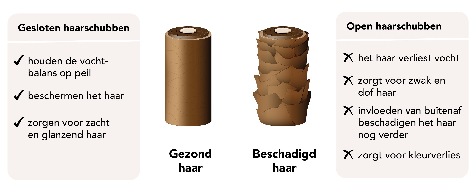 Gesloten haarschubben vs. open haarschubben