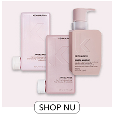 ANGEL van Kevin Murphy